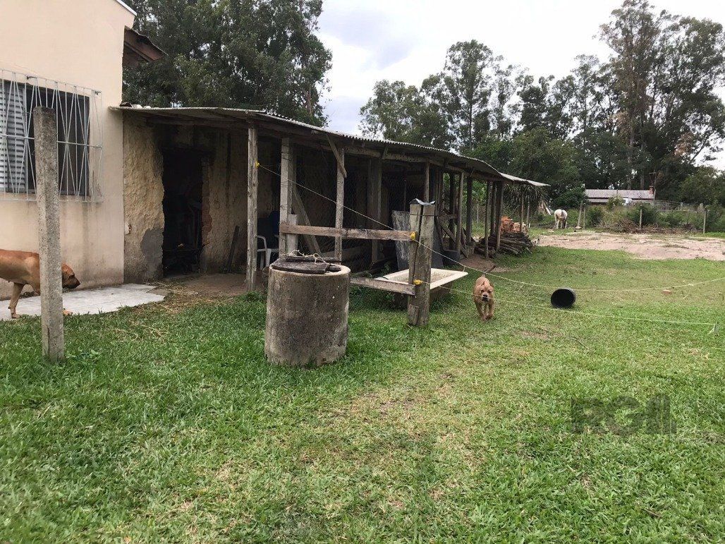 — foto 2