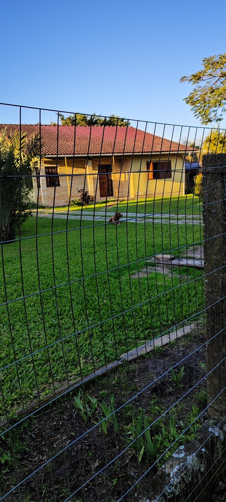 Lindo sitio á venda no Lami — foto 2