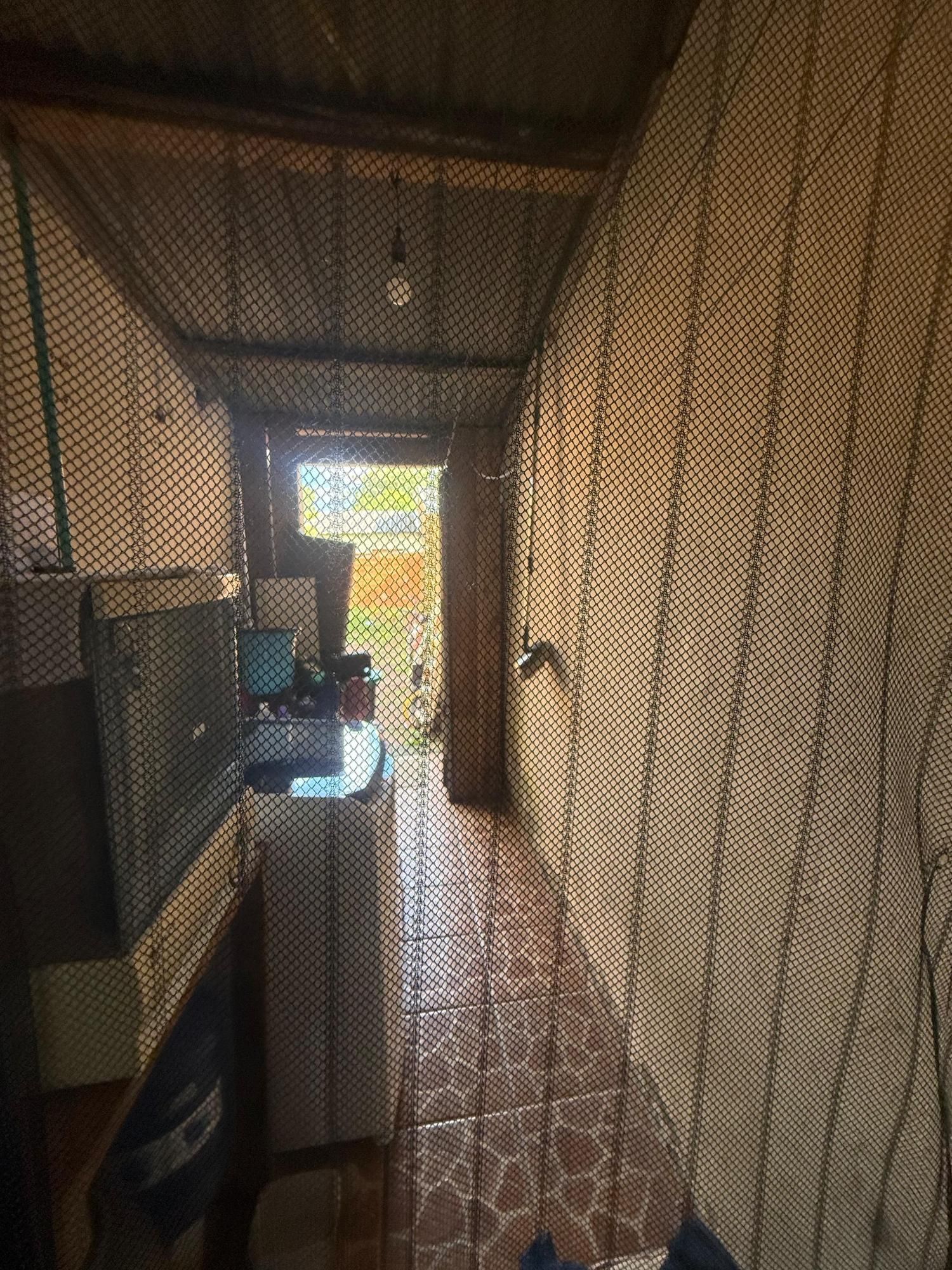 — foto 11