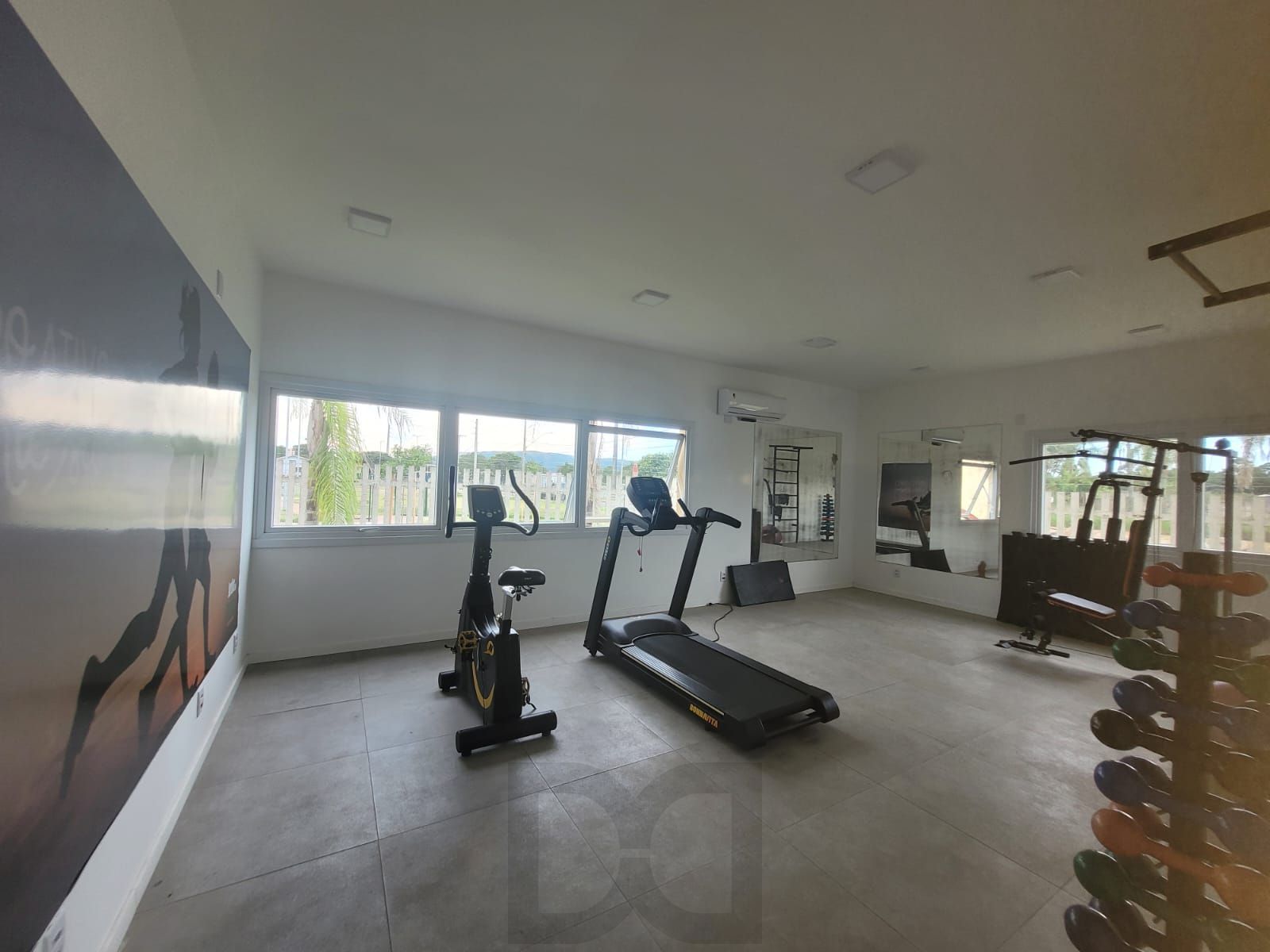 academia