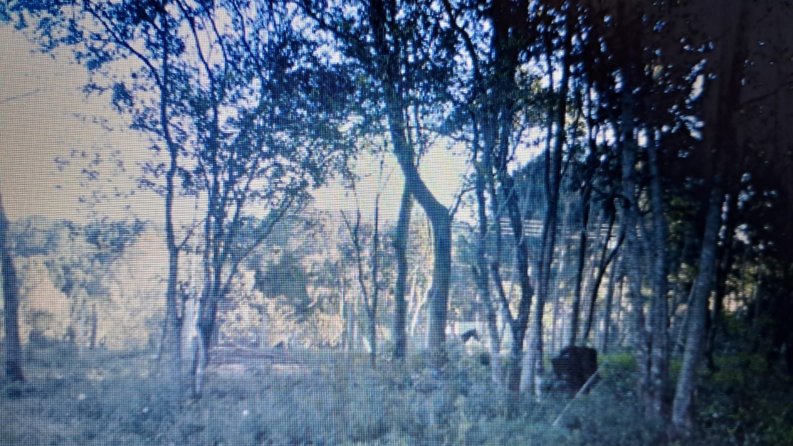 — foto 5