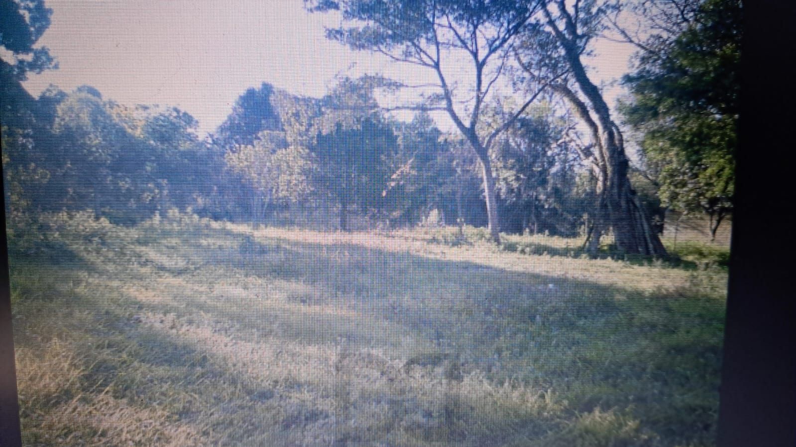 — foto 4