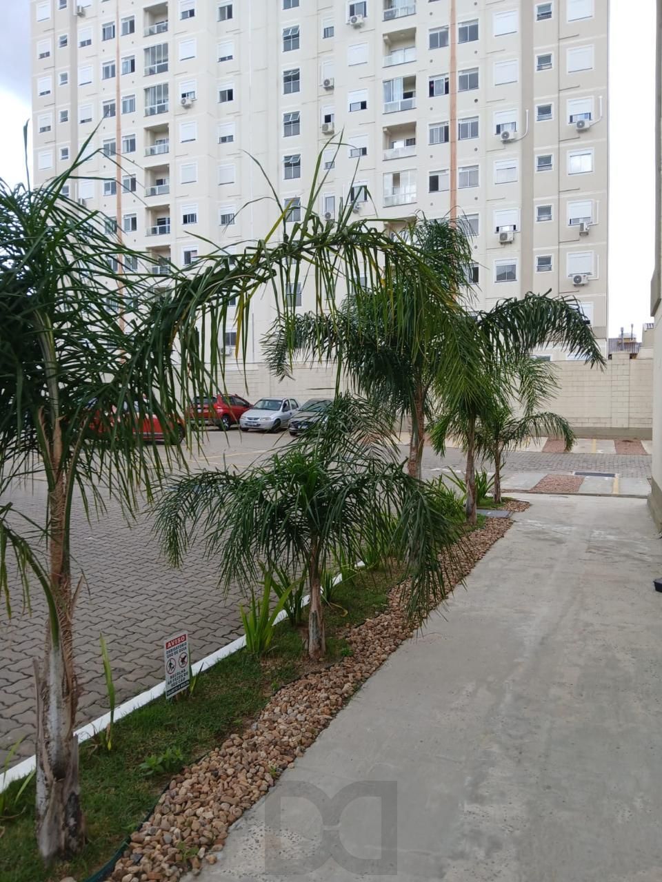 — foto 6