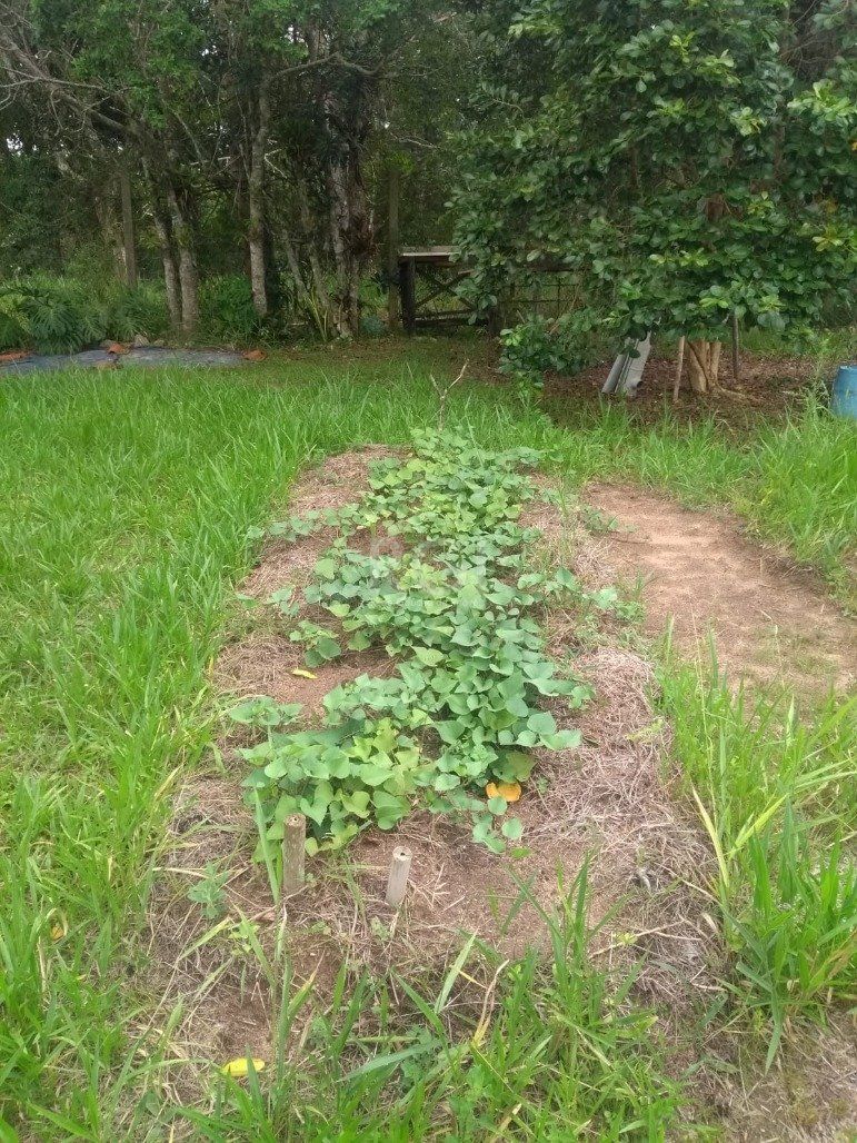 — foto 11