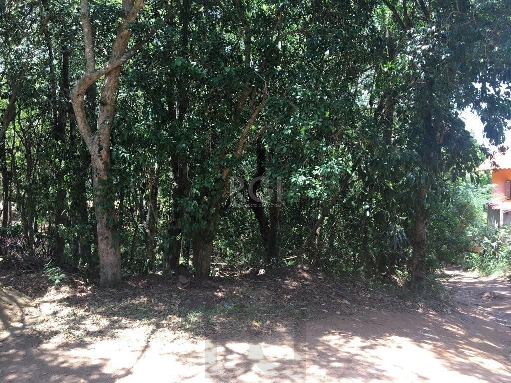 — foto 4