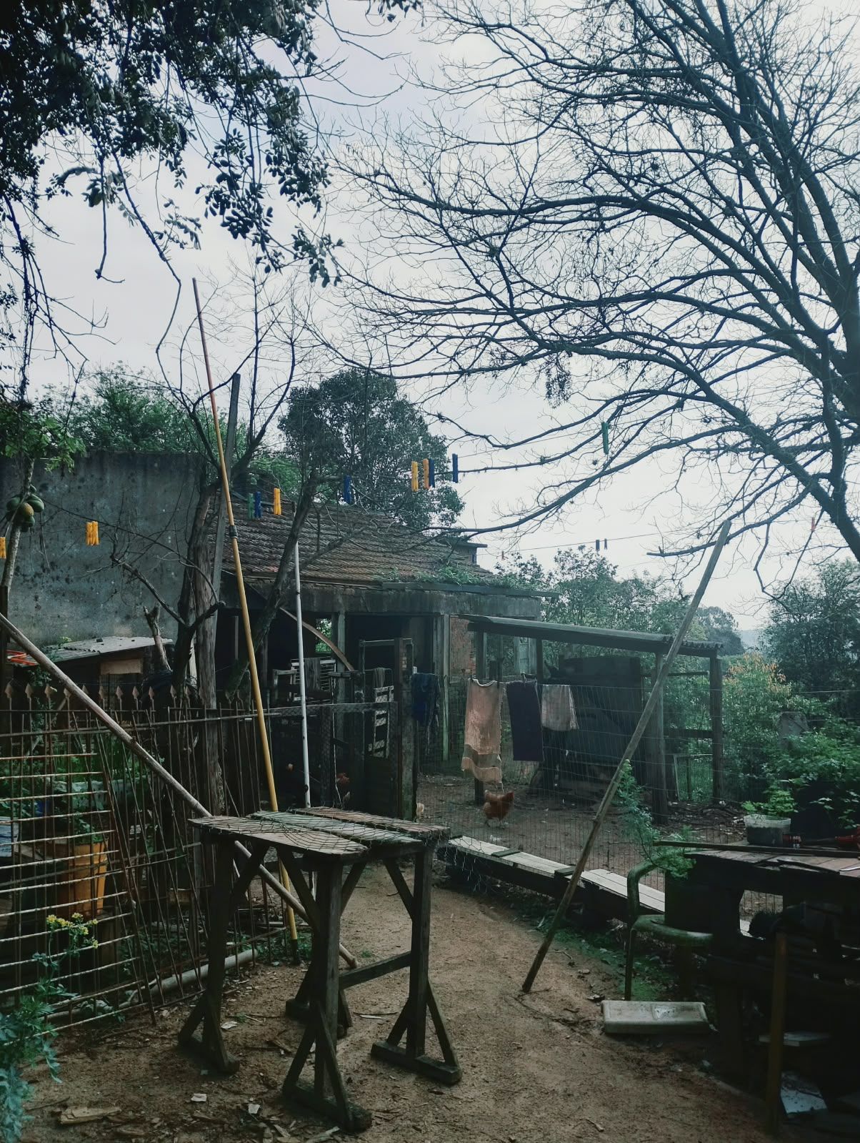  — foto 4