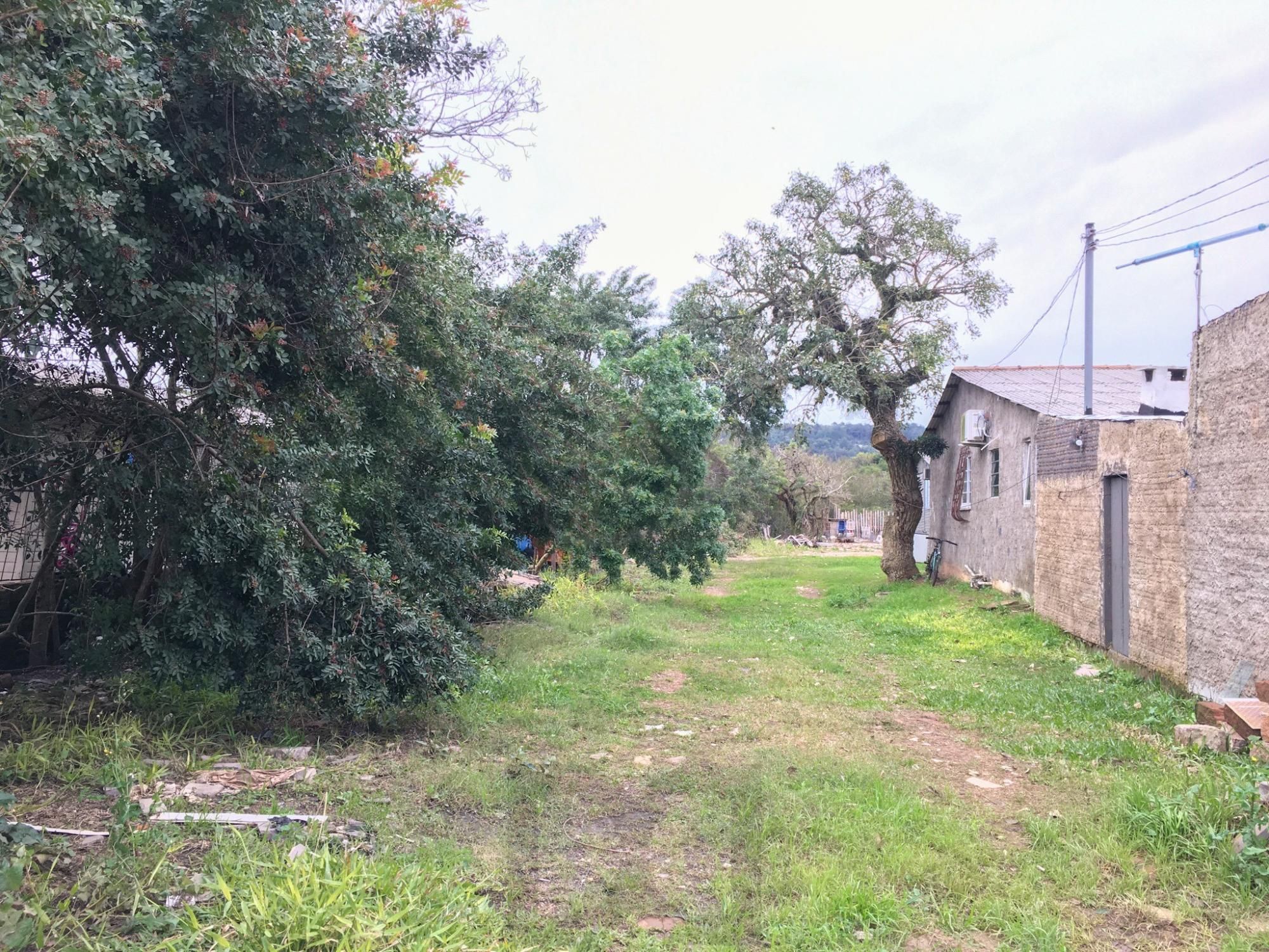 — foto 2