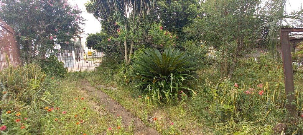  — foto 13
