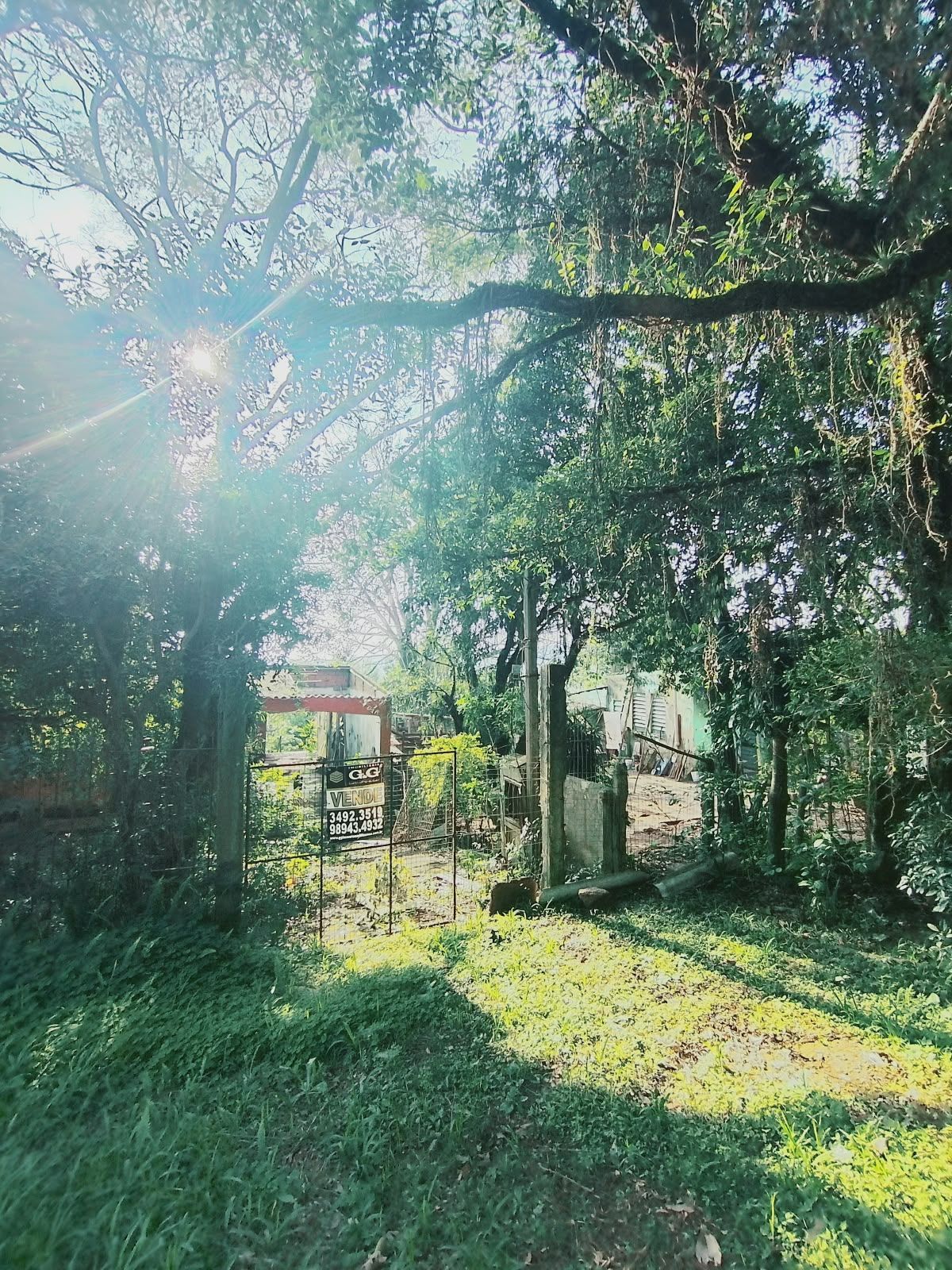  — foto 11