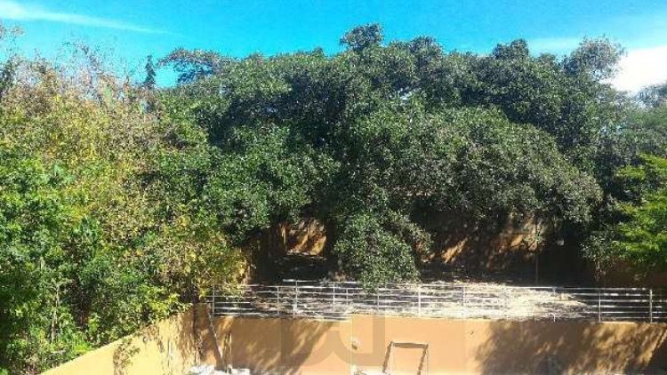 Apartamento para Venda - 53.12m², 2 dormitórios, Ipanema — foto 15
