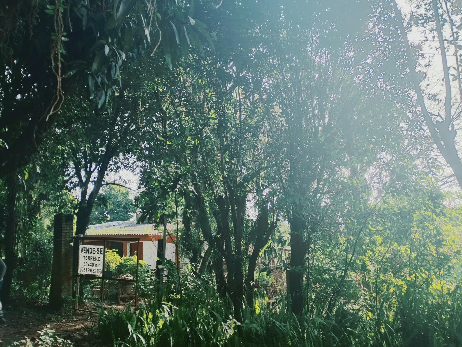  — foto 5
