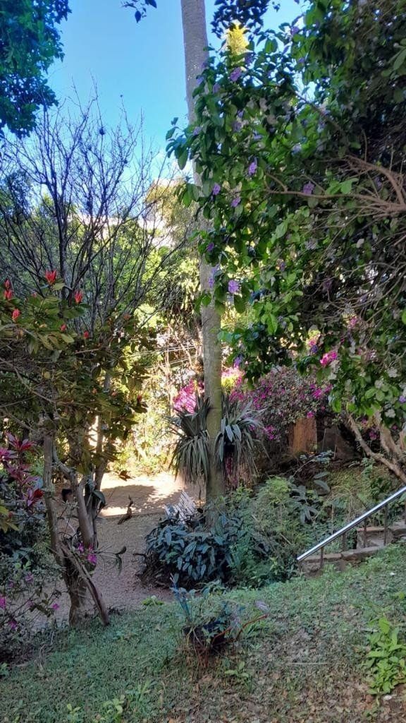 Terreno para Comprar na Santa Cecília no bairro Rio Branco. — foto 9