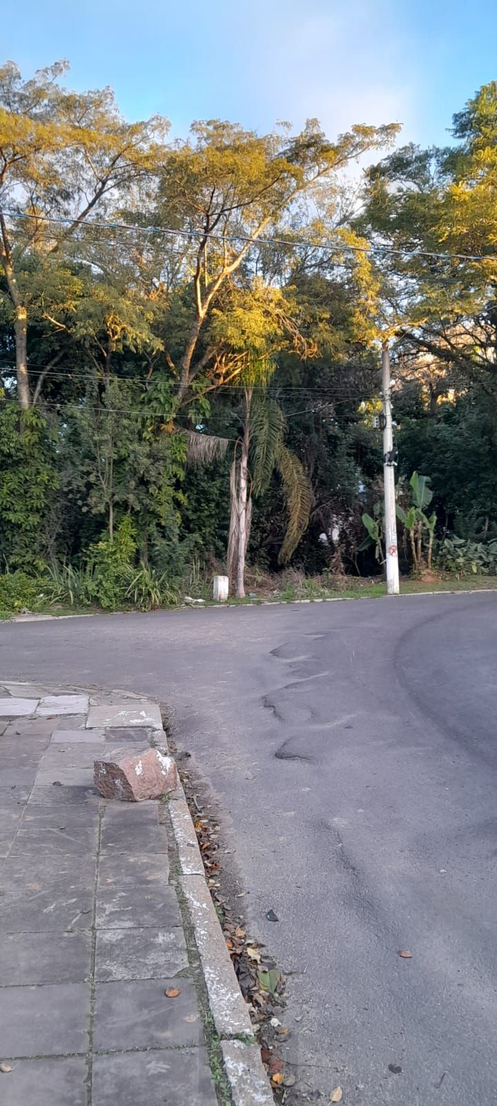 — foto 3