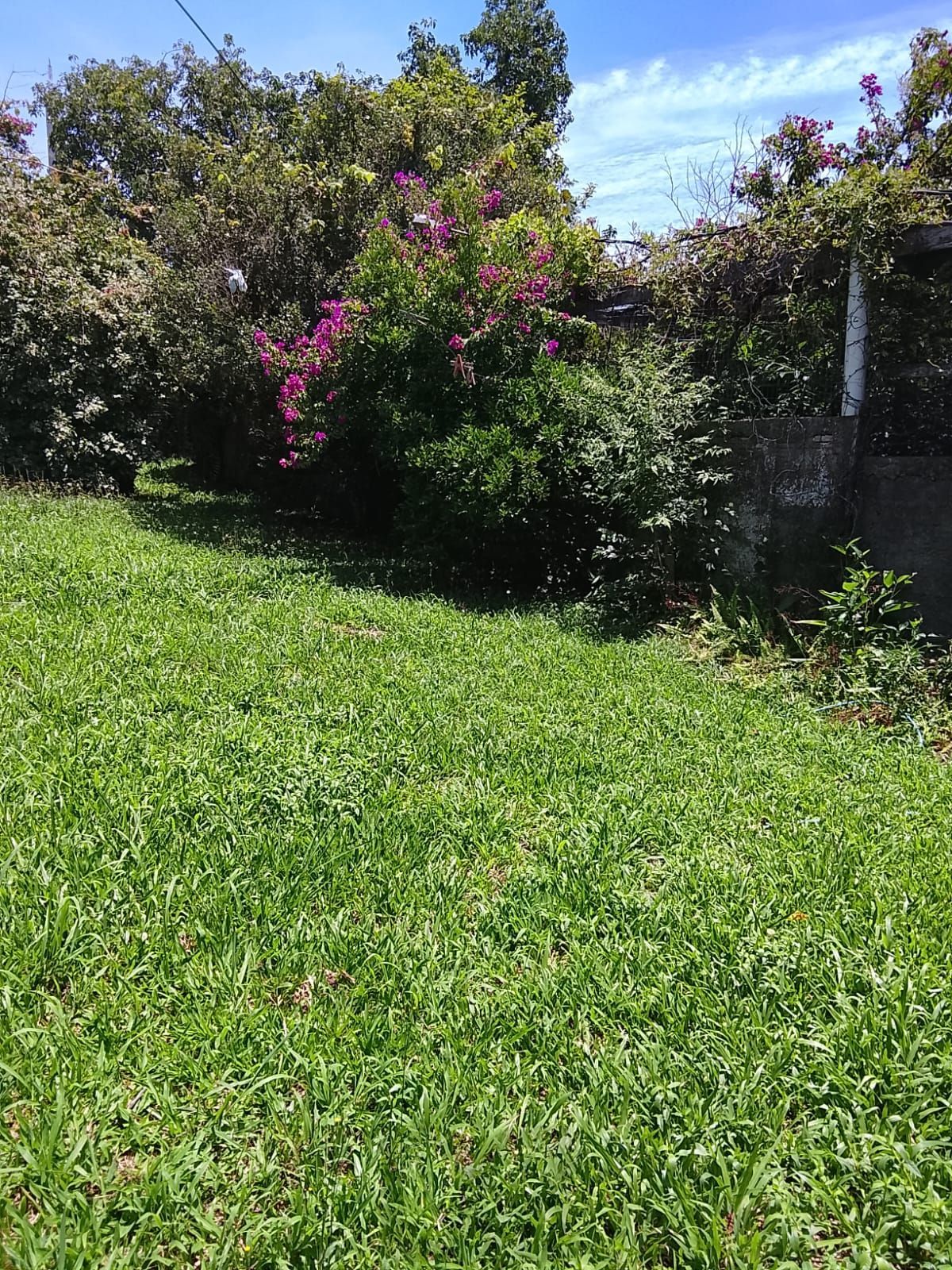 CASA / SOBRADO 5D e 10 vagas 3 Banheiros - Pátio enorme c/ Jacuzi e Pergolado - Living 3 ambientes - Sta Teresa — foto 91