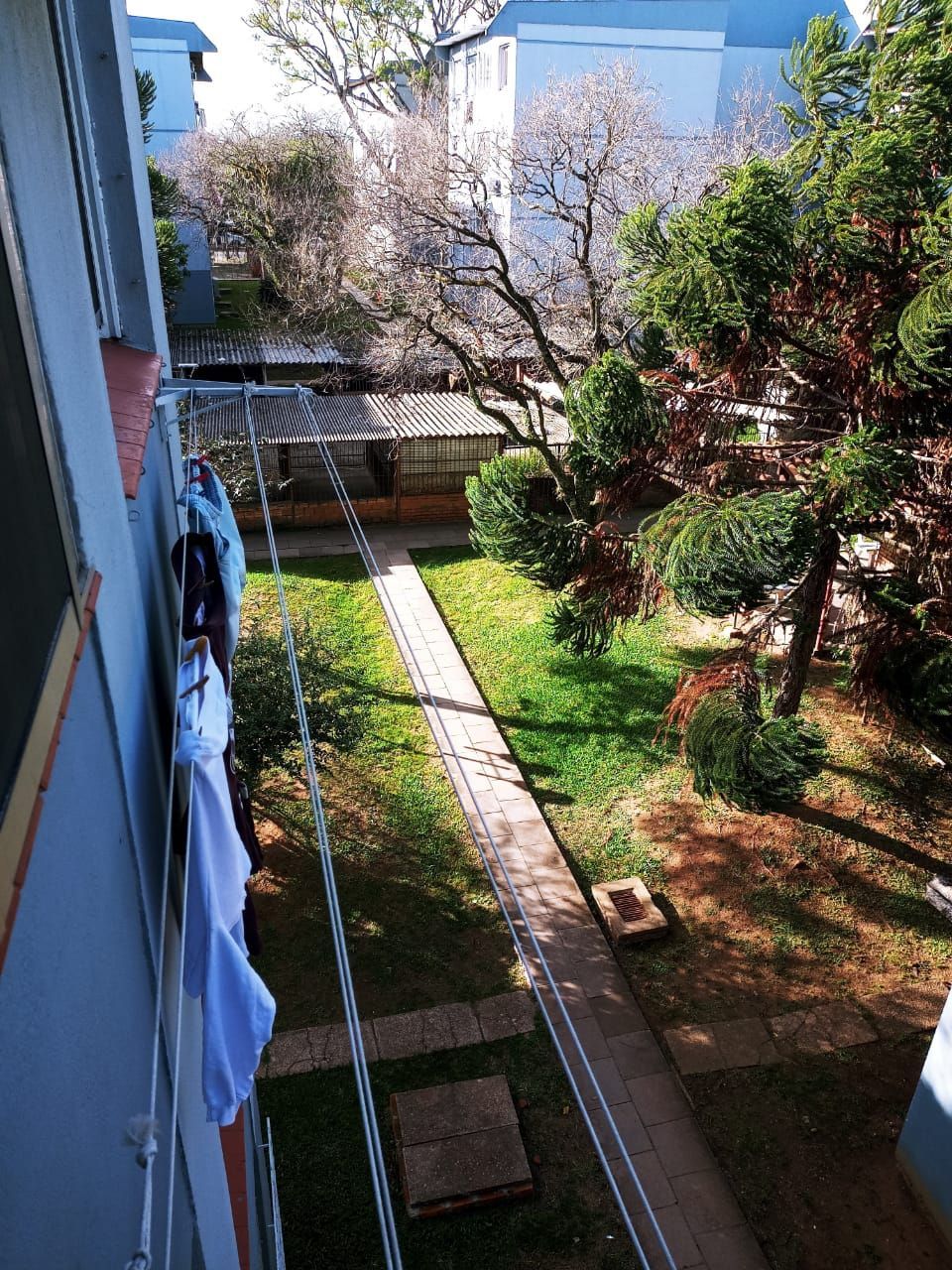 Apartamento com 2 Quartos,com box,no Bairro Humaitá — foto 18