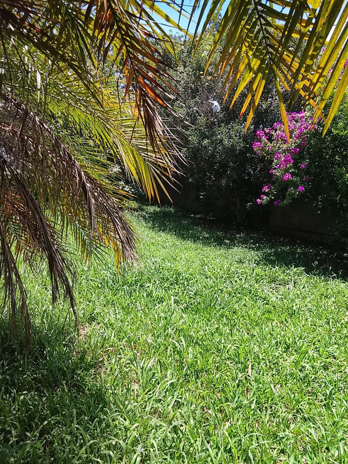 CASA / SOBRADO 5D e 10 vagas 3 Banheiros - Pátio enorme c/ Jacuzi e Pergolado - Living 3 ambientes - Sta Teresa — foto 90