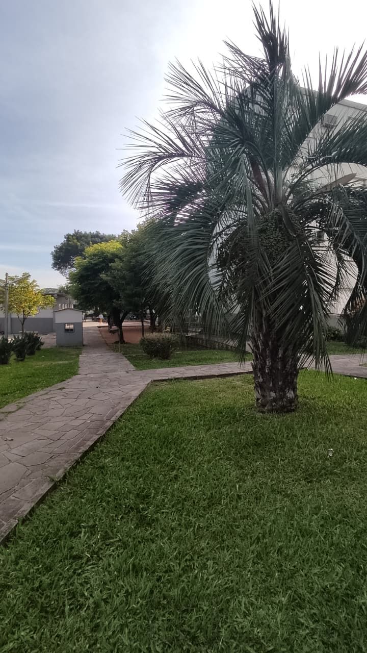 — foto 3
