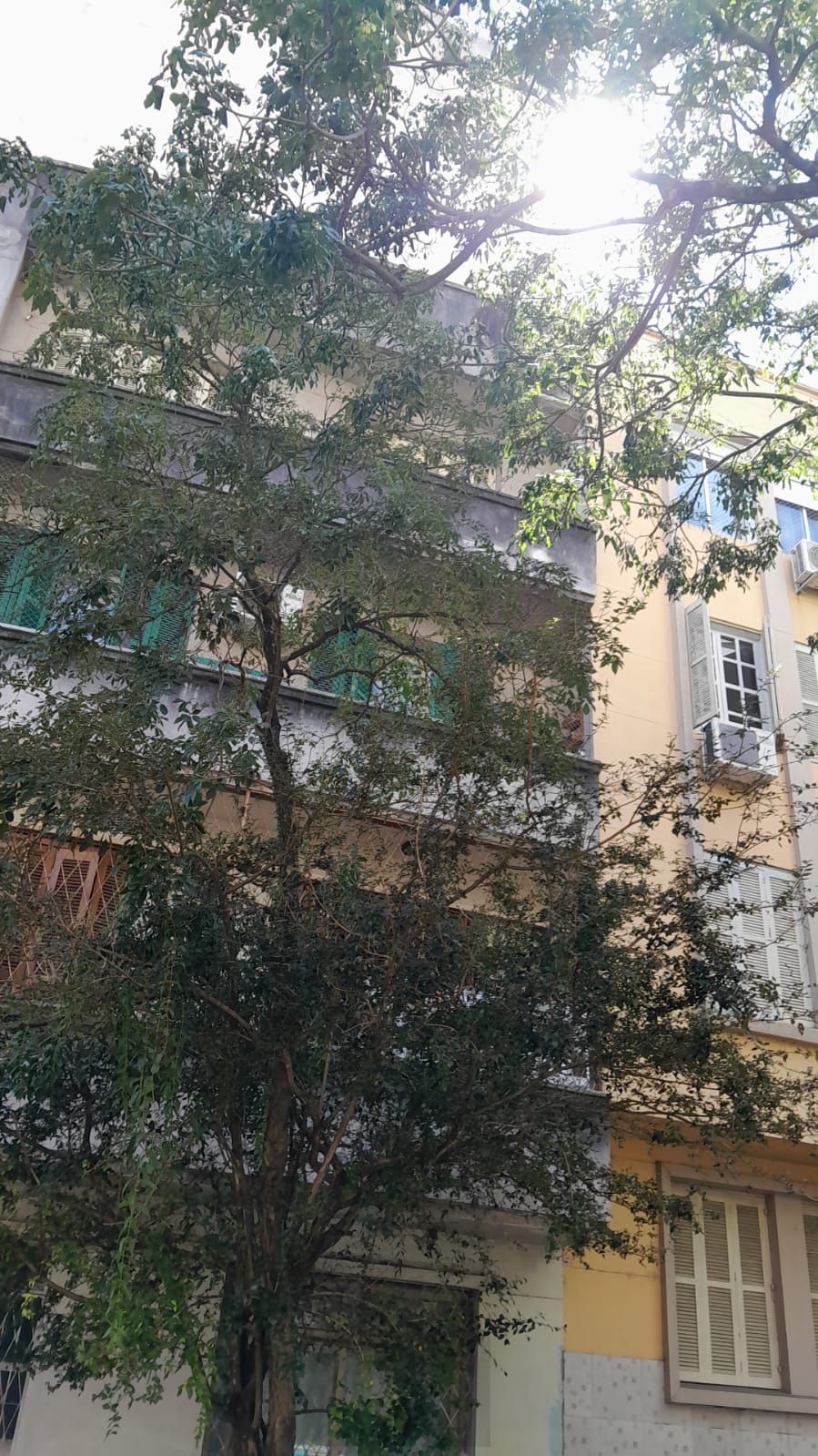 Apartamento com sacda, 2 quartos à venda na Avenida Desembargador André da Rocha, próximo Lima e Silva em Porto Alegre — foto 2