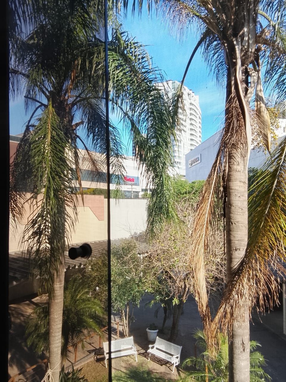 Excelente 2D C/Suíte e vaga coberta Três Figueiras - Porto Alegre — foto 51