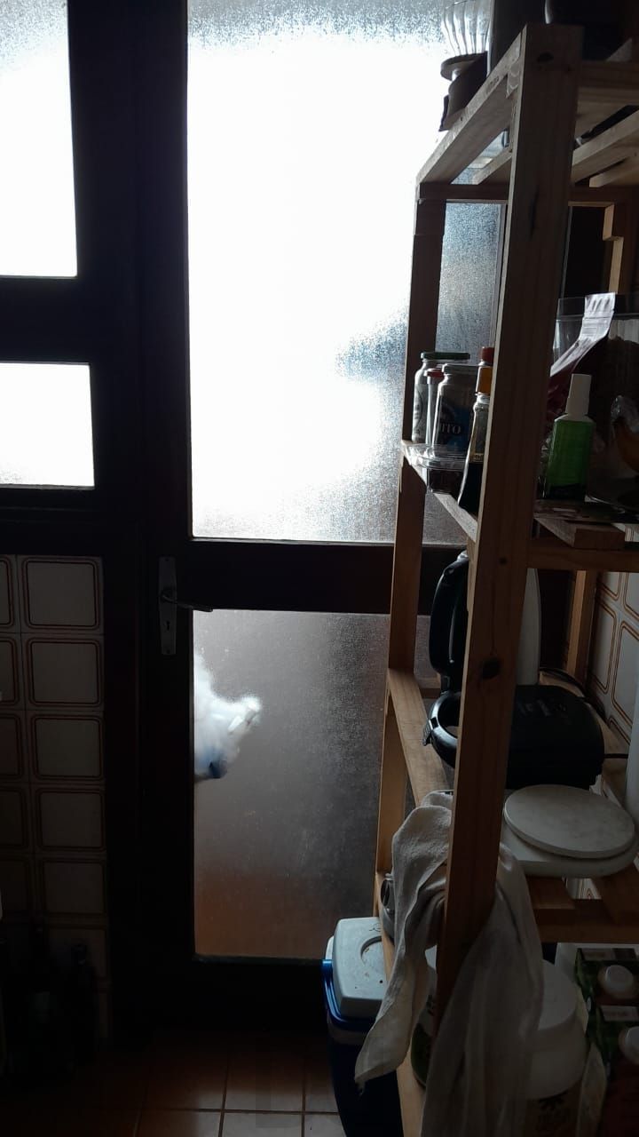 Ótimo apartamento 1 quarto,andar alto com sacada, na Fernando machado — foto 20
