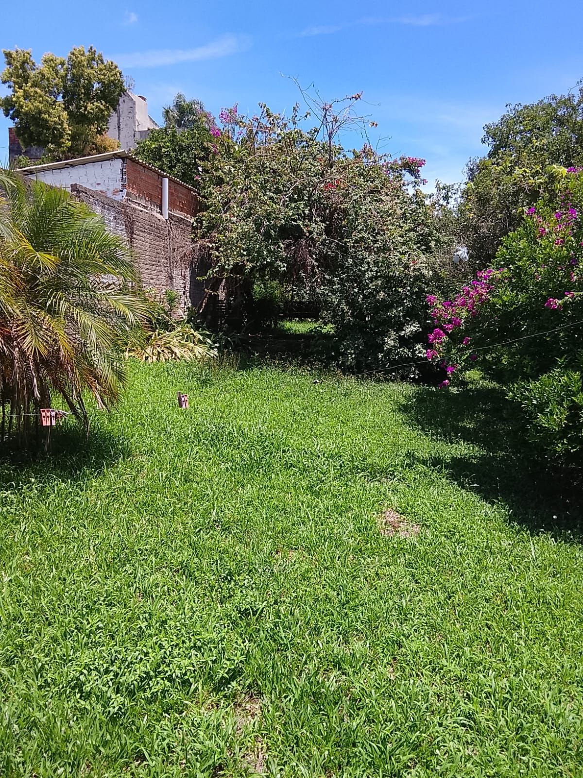 CASA / SOBRADO 5D e 10 vagas 3 Banheiros - Pátio enorme c/ Jacuzi e Pergolado - Living 3 ambientes - Sta Teresa — foto 99