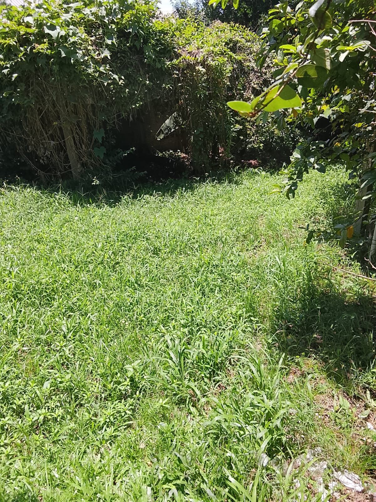 CASA / SOBRADO 5D e 10 vagas 3 Banheiros - Pátio enorme c/ Jacuzi e Pergolado - Living 3 ambientes - Sta Teresa — foto 97