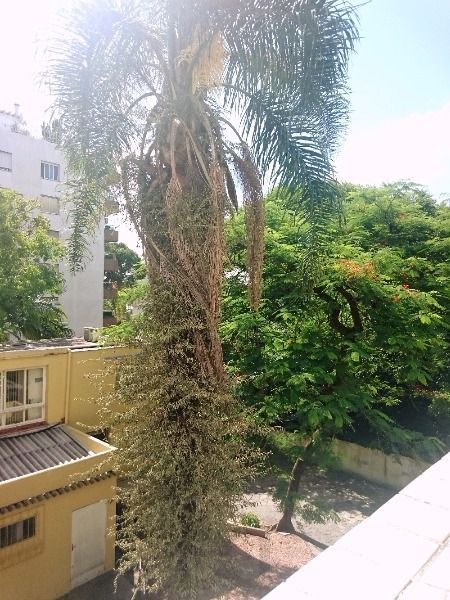 Conjunto/Sala para Venda - 33.87m², 0 dormitórios, Floresta — foto 13