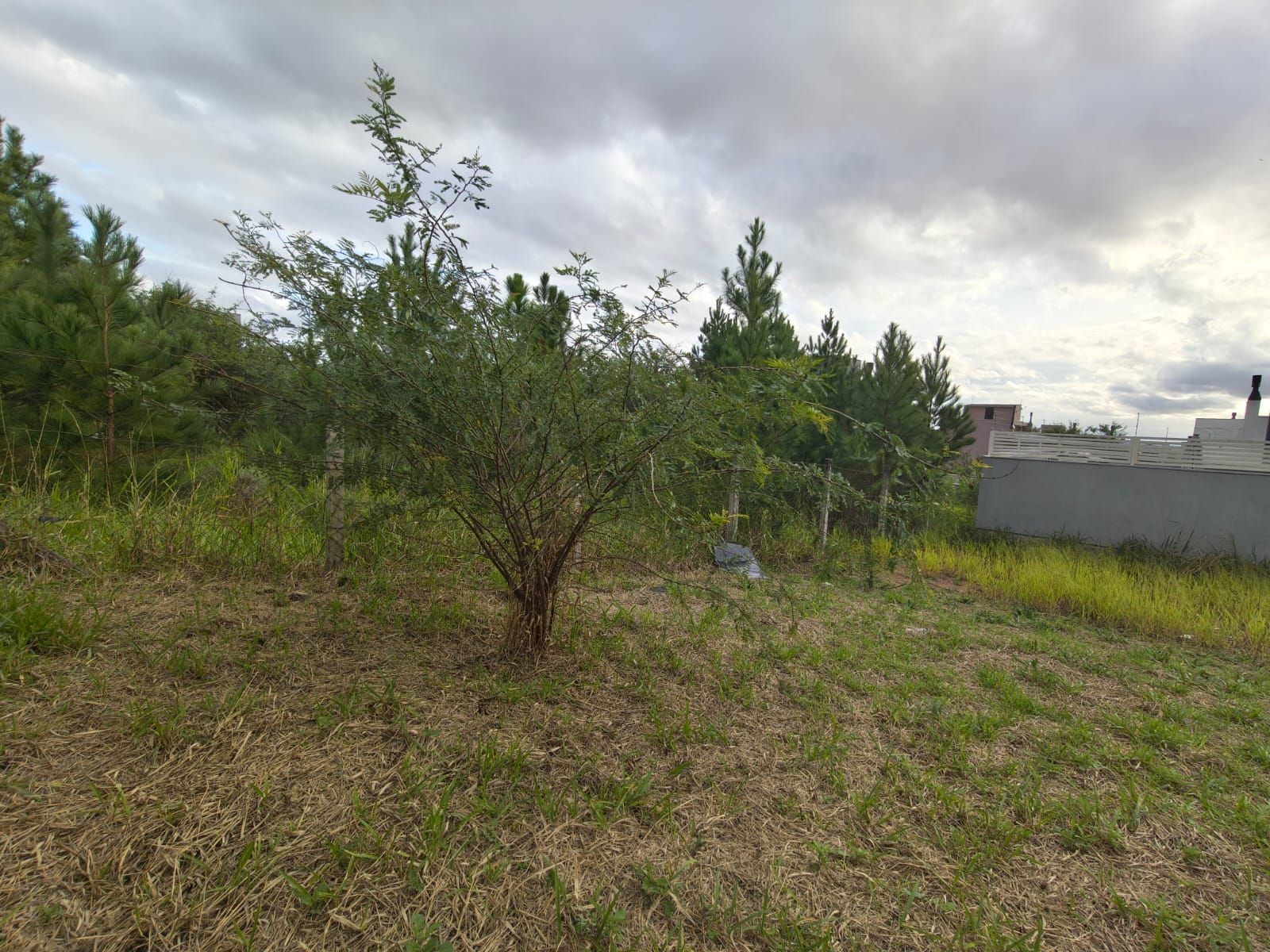Terreno no Bairro Guarujá, medindo 8x25, Vista para o Guaíba - Porto Alegre/RS — foto 3