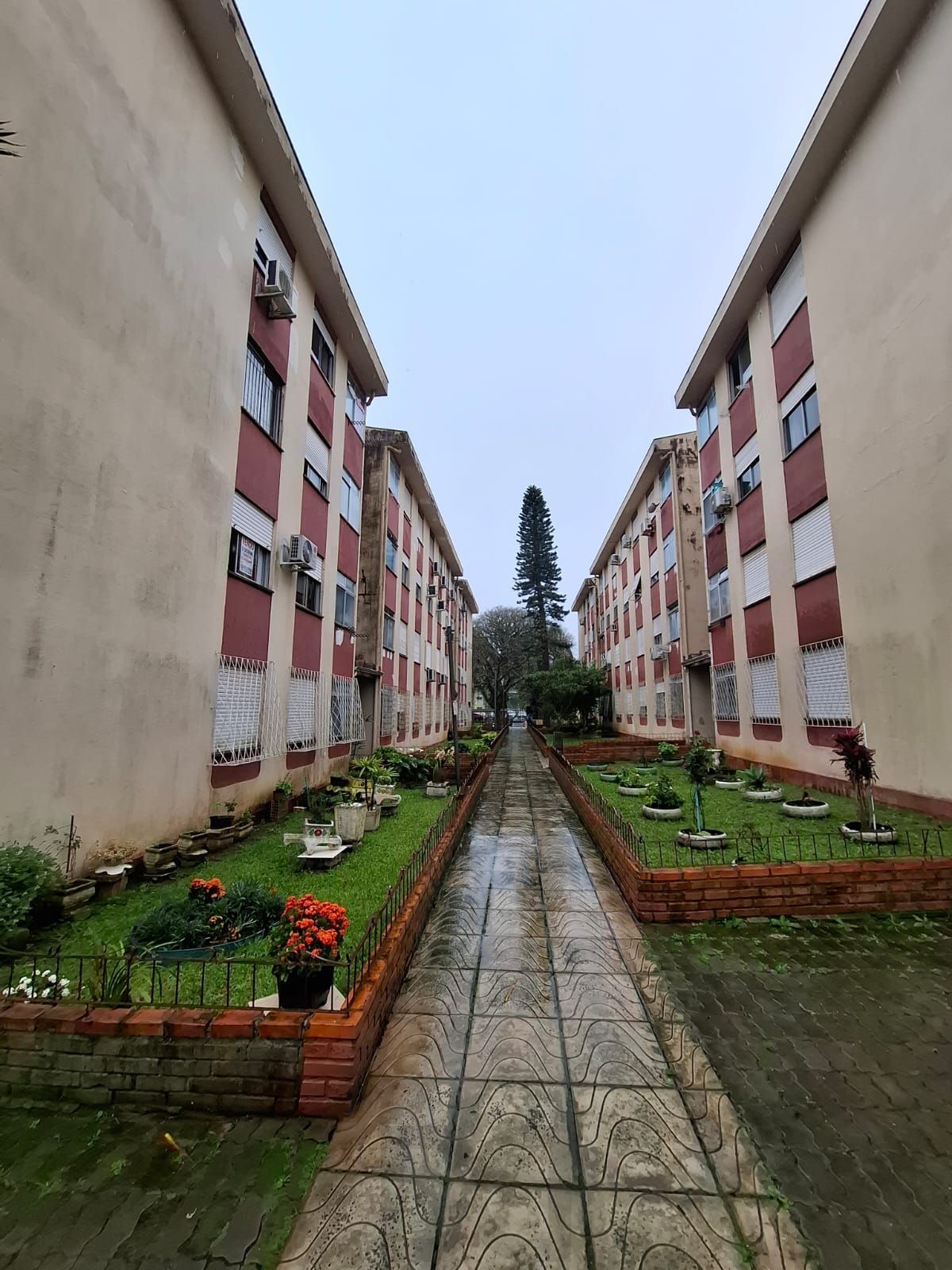 Apartamento 3 dormitórios - Vila Nova - Porto Alegre/RS — foto 4