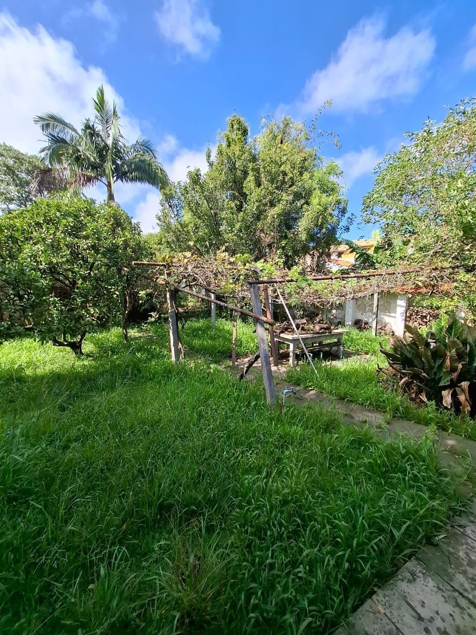 Casa no bairro ipanema 4 dormitórios — foto 18