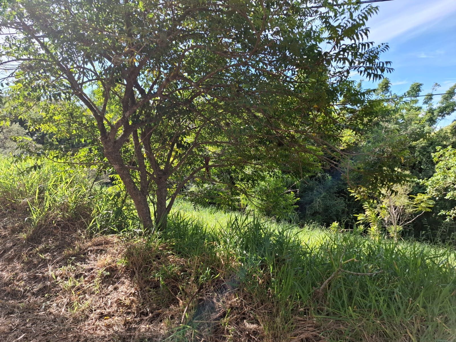 VENDO TERRENO 22X60.59 — foto 1