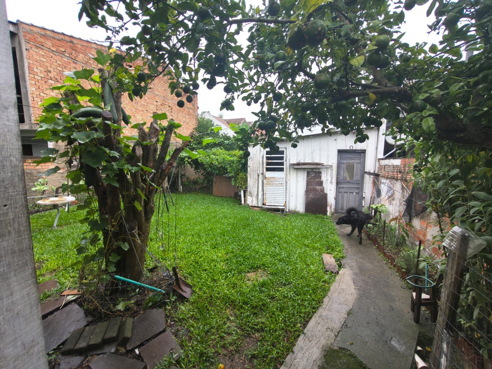 Oportunidade Imperdível - Terreno com 3 casas no Bairro Serraria Porto Alegre/RS — foto 14