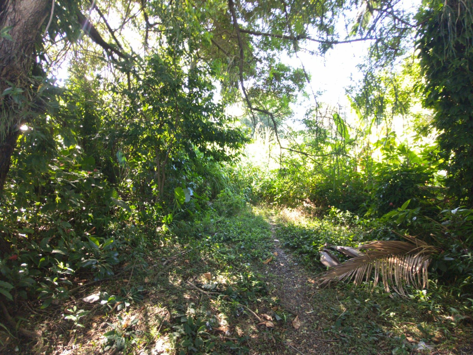 Terreno à venda medindo 45x25 próximo a Juca Batista, Zona Sul POA — foto 4
