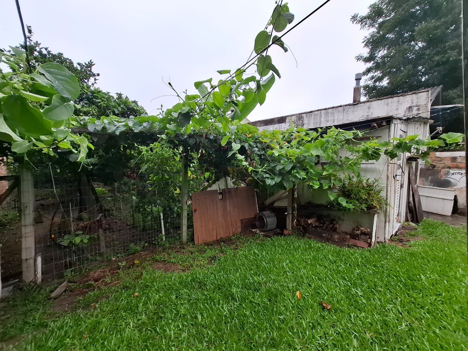 Oportunidade Imperdível - Terreno com 3 casas no Bairro Serraria Porto Alegre/RS — foto 18