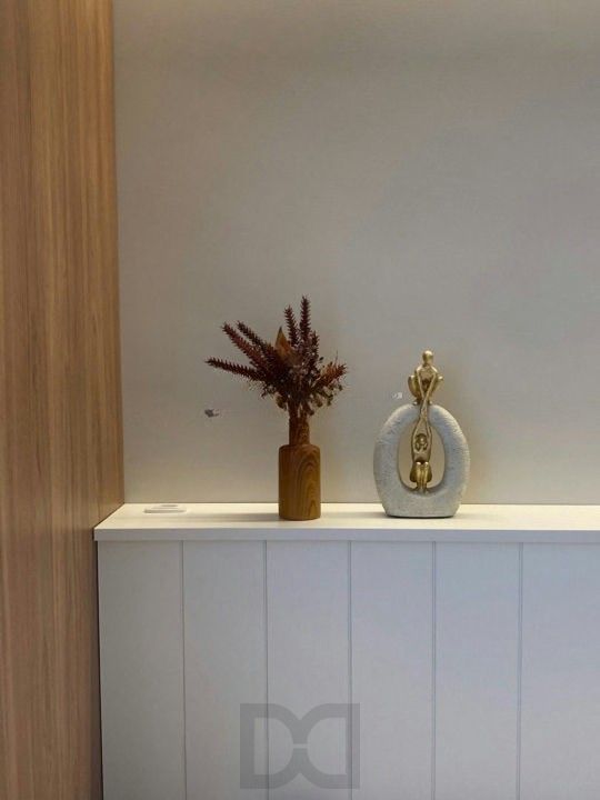 Studio mobiliado e pronto para Airbnb – GO Carlos Gomes, Anita — foto 15