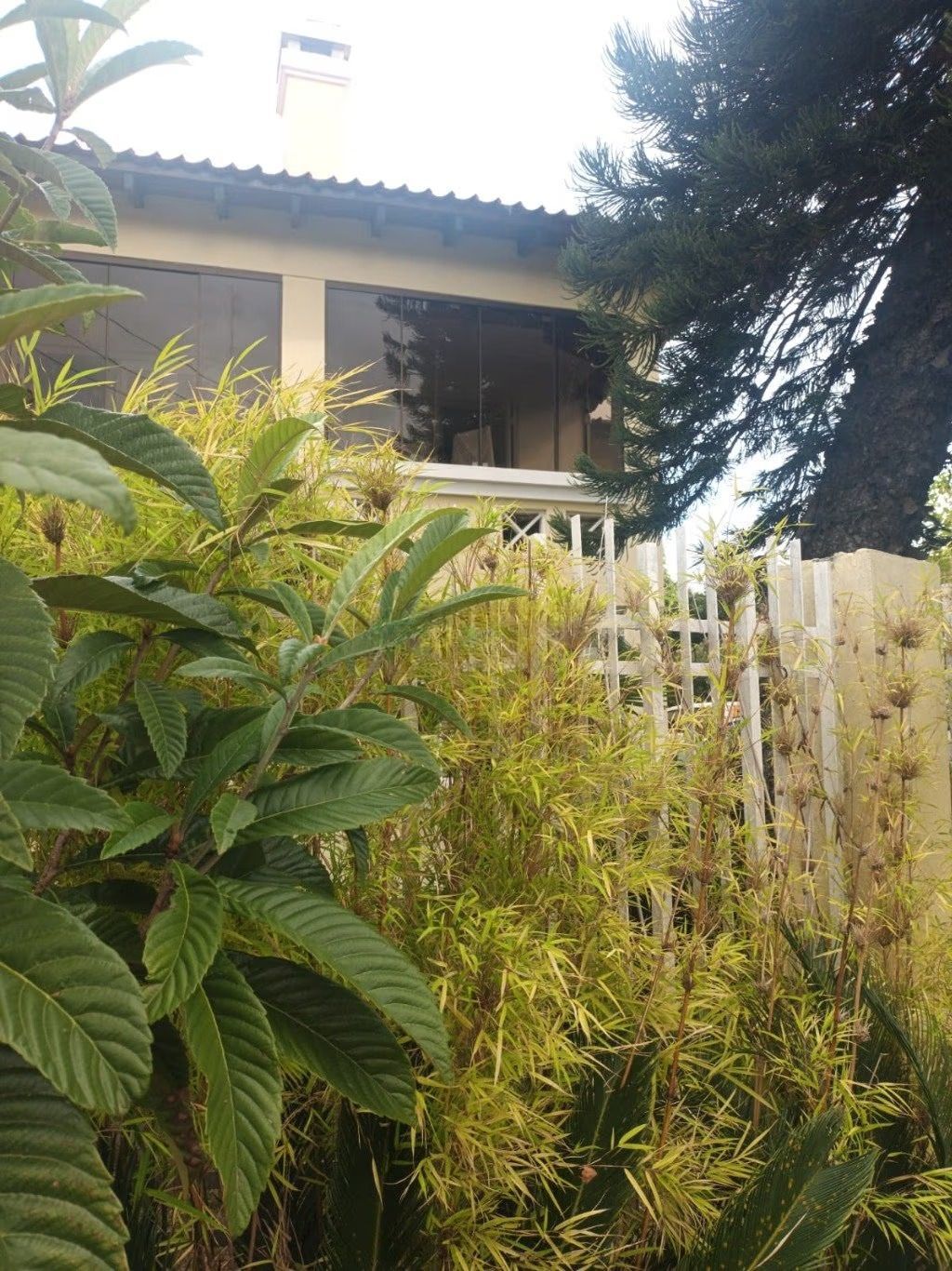 Casa de esquina com 6 dormitórios, 430m², piscina, 4 vagas — foto 36