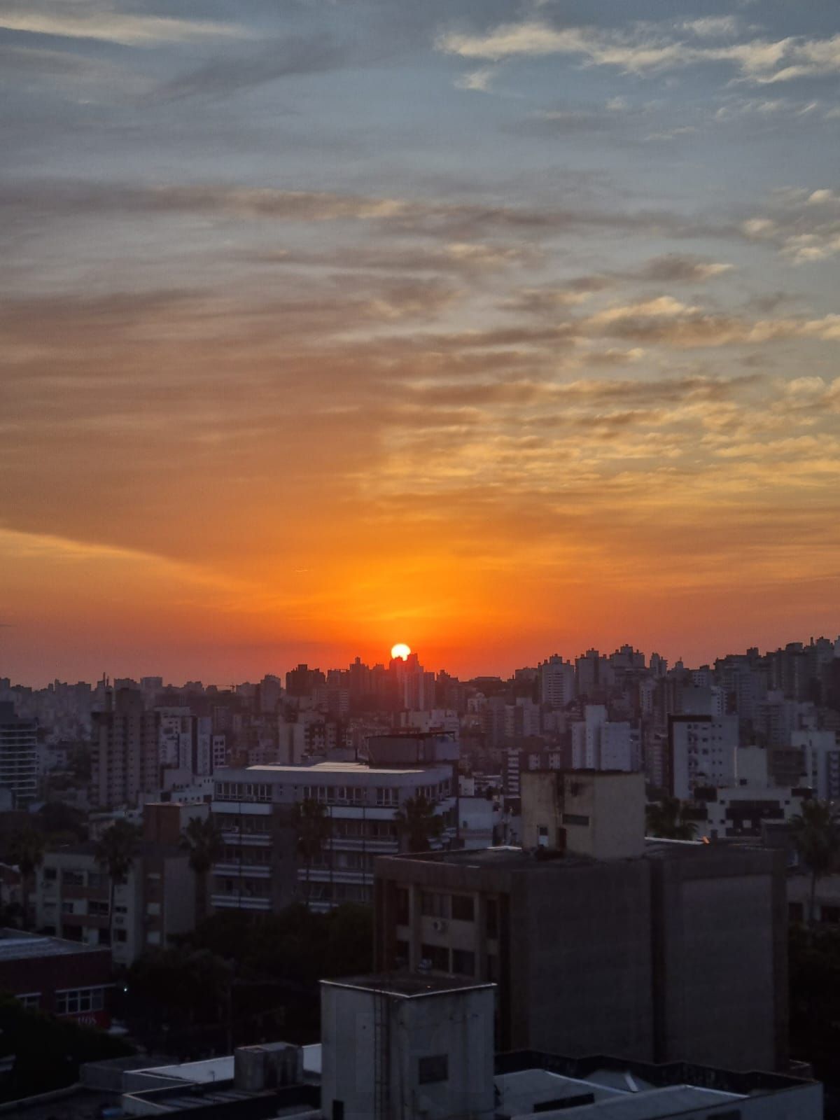 Apto 3 dorm living estendido, andar alto no Passo da Areia — foto 5