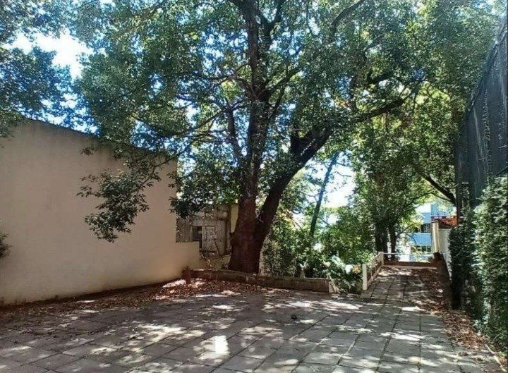 CASA COMERCIAL - MOINHOS DE VENTO — foto 27