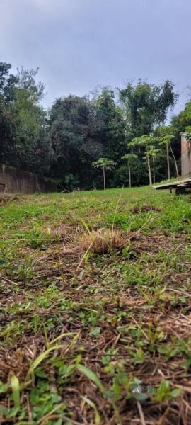 Terreno em Porto Alegre, no bairro Ipanema, à venda. — foto 3
