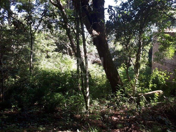 Terreno para Venda - 2067m², 0 dormitórios, Aberta dos Morros — foto 7