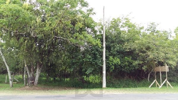 Terreno para Venda - 0m², 0 dormitórios, Lami — foto 4