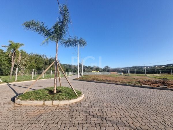Terreno para Venda - 0m², 0 dormitórios, Campo Novo — foto 21