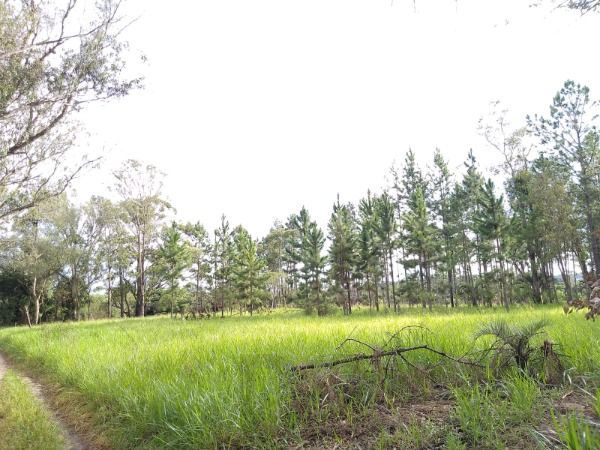 Area em Porto Alegre, no bairro Lomba do Pinheiro, à venda. — foto 10