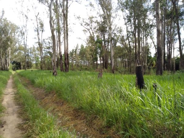 Area em Porto Alegre, no bairro Lomba do Pinheiro, à venda. — foto 8