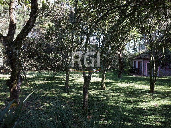 Sítio para Venda - 364m², 3 dormitórios, sendo 1 suites, 2 vagas - São Caetano — foto 12