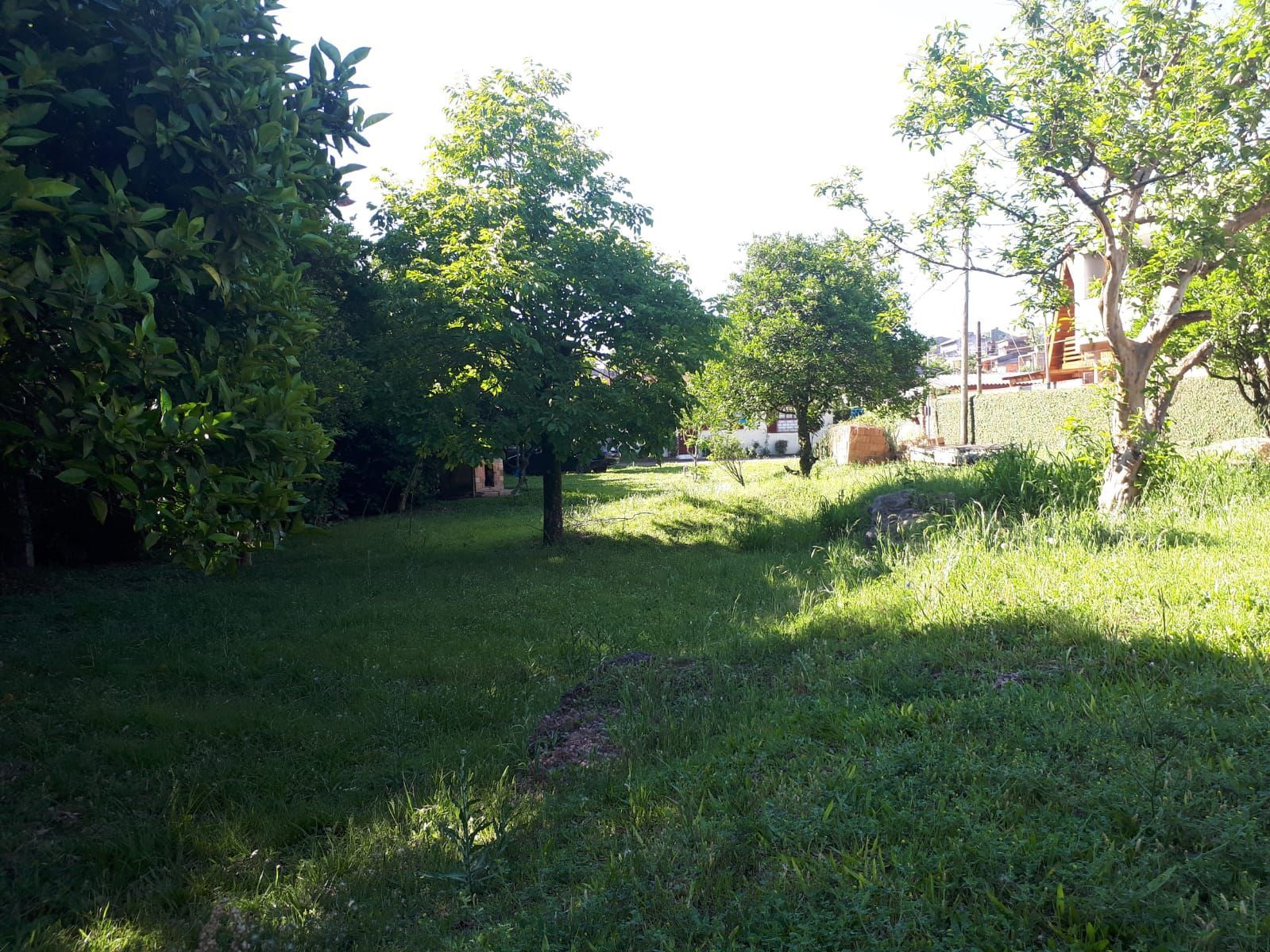 Amplo terreno à venda com 1440m² — foto 3
