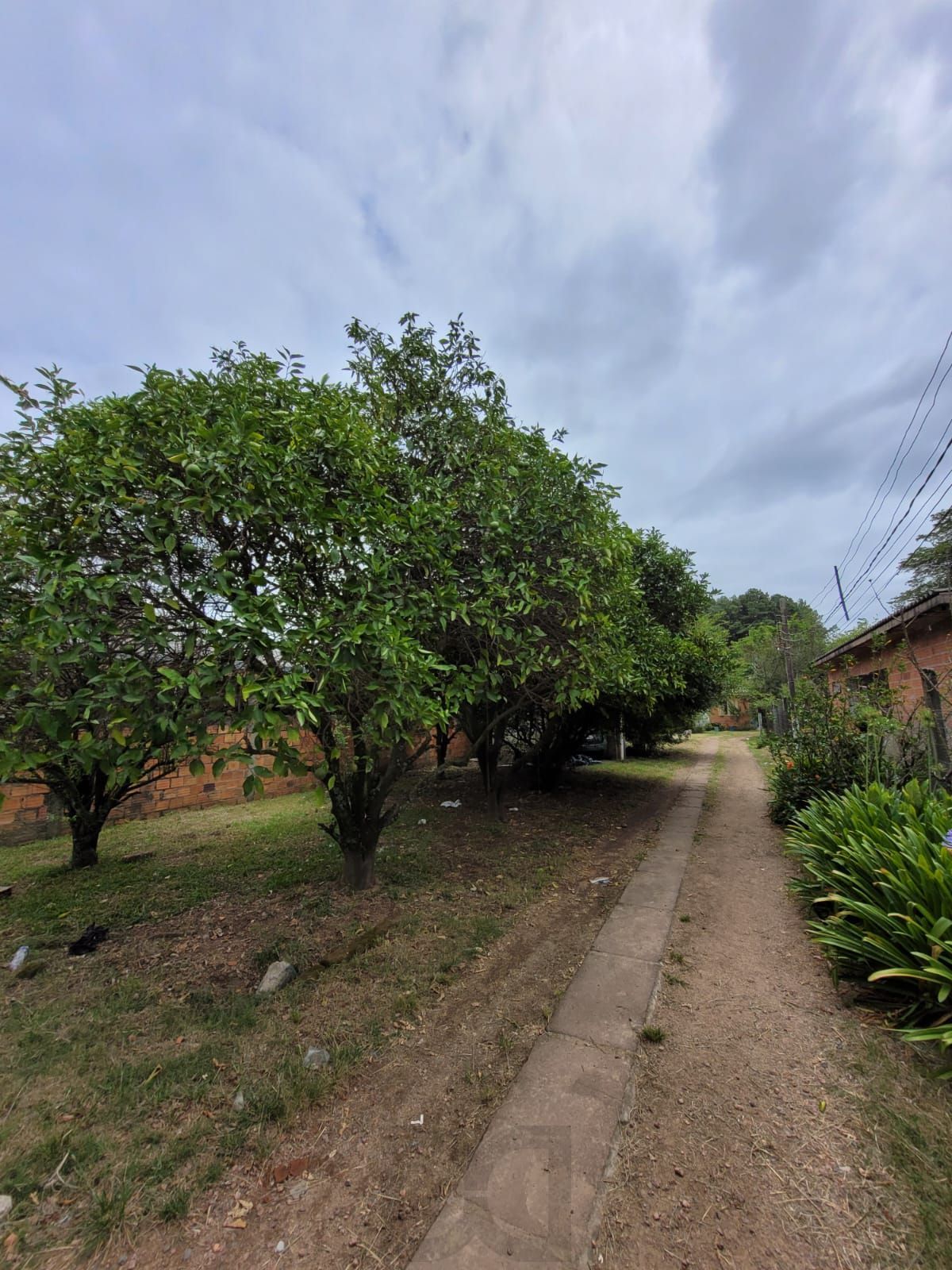Oportunidade Estratégica: Terreno de 2.400m² próximo à Av. Juca Batista — foto 3