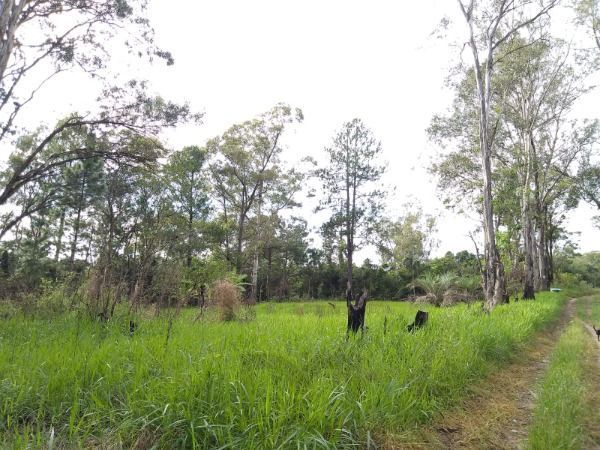 Area em Porto Alegre, no bairro Lomba do Pinheiro, à venda. — foto 11