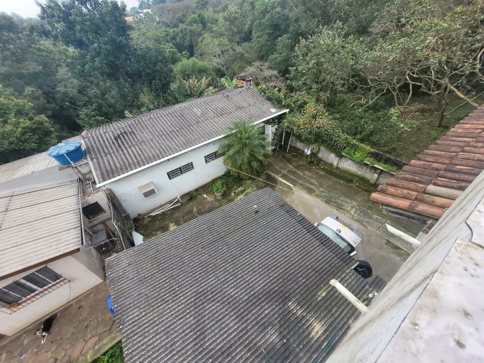 Casa com 5 Dormitórios, Salão de Festas e Terreno de 11,6 x 115m – Belém Velho — foto 32
