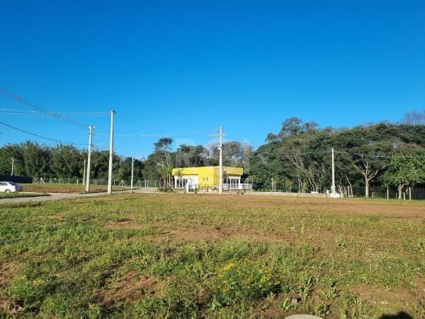 Terreno para Venda - 0m², 0 dormitórios, Campo Novo — foto 15